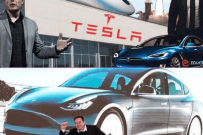 Elon Musk y la revolución de Tesla: cómo la perseverancia y la visión cambiaron la industria automotriz