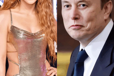 La estrella y cantante Shakira rechazó furiosamente una oferta de 10 millones de dólares de Elon Musk.