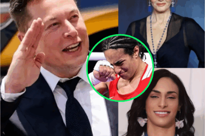 Noticias de la Última Hora: O homem mais rico do mundo, Elon Musk