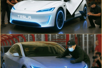 ¡Sucedió! Elon Musk filtra una revolucionaria fórmula de batería que hará que el Tesla Model 2 sea el más barato de la historia.