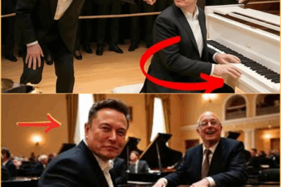 Elon Musk se burla de un pianista famoso, luego toca y deja al mundo entero sin palabras