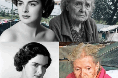 Del glamour de las alfombras rojas a una vida entre escombros: Alma Delia Fuentes, la estrella que enamoró al cine mexicano, terminó sus días sola, olvidada y rodeada de basura… ¿Cómo llegó ahí una leyenda del espectáculo? Su historia estremece por lo trágica y por todo lo que nadie quiso ver a tiempo.