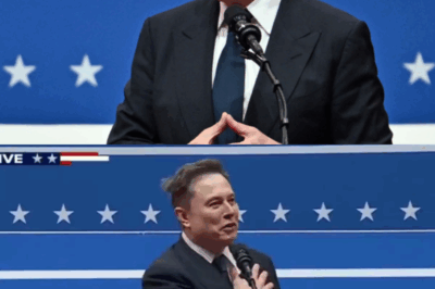 Golpe Bajo para Elon Musk: Recibe Malas Noticias Justo Después de Lanzar su Partido “América” contra Trump