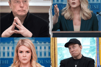 Karoline Leavitt Mocked and Tried to Humiliate Elon Musk Live on Air, But He Exposed Her Hypocrisy with a Single Sentence That Made the Entire Room Stand Up and Applaud… Even Her Own Supporters.