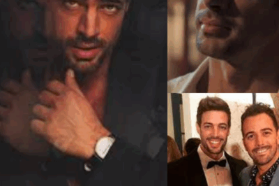 William Levy en llamas en la premiere de “Bajo un volcán”: ¡lo que dijo dejó a todos sin aliento!