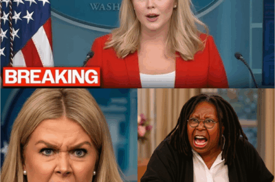 Whoopi Goldberg screamed and slammed the table live on air, challenging Karoline Leavitt: “You want war? I’ll bury your career right here, right now!” — The $800 million showdown has turned into a full-blown media bloodbath