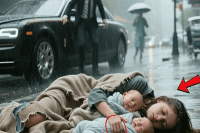 A young millionaire finds an unconscious girl with twins: the shocking truth destroys him
