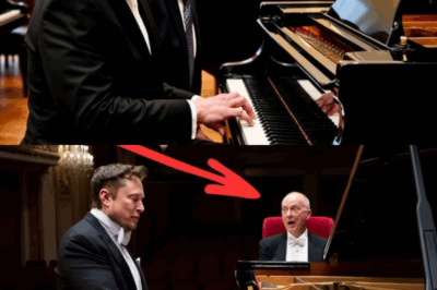 Elon Musk se burló de un famoso pianista: luego tocó y sorprendió al mundo con un talento oculto