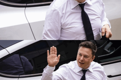 Indignante: Expulsan a una anciana de un banco por hacer preguntas, y luego Elon Musk entra.