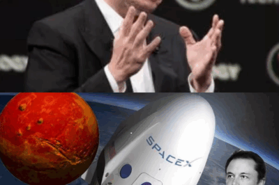 Elon Musk sacude al mundo con el proyecto más extraño: ¡Viaje global superrápido sin aviones, rompiendo todos los límites para explorar el universo!