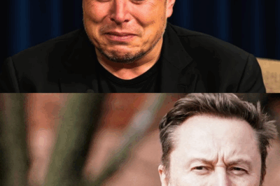 ¡Elon Musk Sorprende al Mundo! Revela Por Qué Eligió el Cristianismo