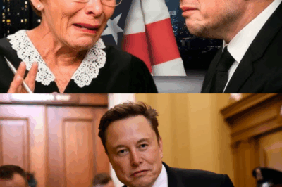 ¡INCREÍBLE PERO CIERTO! Lo que Elon Musk compartió en la corte dejó a la jueza Judy sin palabras