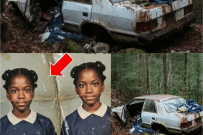 Black Twin Sisters Vanished in 2004 — 20 Years Later, Only One Came Back