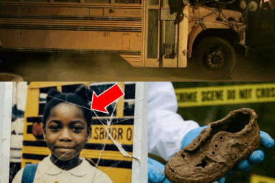 She Was Last Seen on the School Bus in 1982 — 15 Years Later the Driver Confessed a Secret