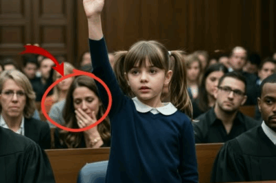 An 8-year-old girl appeared as her mother’s lawyer in court.