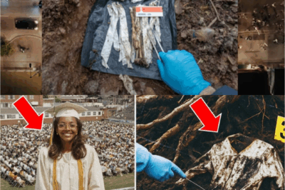 She Vanished After Graduation in 1981—25 Years Later, Her Cap & Gown Were Found Buried at Her School