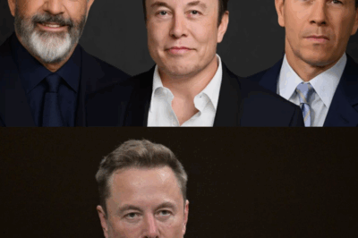 REorganización de Hollywood: Elon Musk, Mel Gibson y Mark Wahlberg abandonan estudio de cine “anti-woke” de 3 mil millones de dólares…