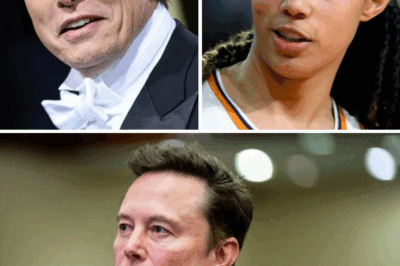 El multimillonario Elon Musk envió un ultimátum a la estrella de la WNBA, Brittney Griner, invitándola a ser la imagen de una campaña para promocionar el último modelo de Tesla, con una oferta millonaria. Pero a cambio, Brittney Griner solo le dedicó cinco breves palabras.