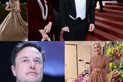 BOMBA DE CUMPLEAÑOS: MAYE MUSK SORPRENDE A ELON Y A SUS INVITADOS REPLETOS DE ESTRELLAS EN SU CELEBRACIÓN NÚMERO 77.
