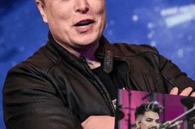 Adam Lambert sorprende al mundo de la música al rechazar el acuerdo de Tesla de 500 millones de dólares de Elon Musk. ¿Cuál es el motivo?