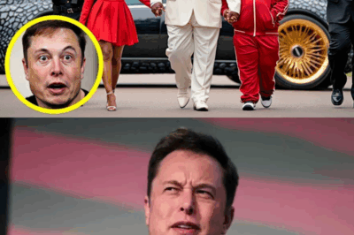 ¡INCREÍBLE! Familia multimillonaria insulta a Elon Musk y luego compra la empresa entera