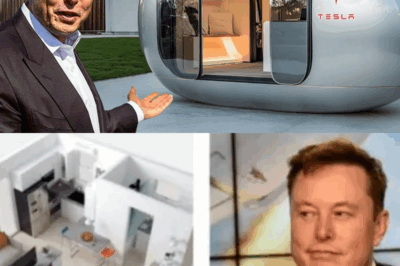 “REVELACIÓN IMPACTANTE”: Elon Musk finalmente lanza la Tesla Tiny House de $7,566, y lo que hay dentro de esta casa prefabricada futurista tiene atónitos a los fanáticos de todo el mundo.