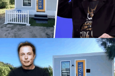 ¡UN MULTIMILLONARIO EN UNA CAJA! Ideas locas, pero significativas e innovadoras. La casa prefabricada de 50.000 dólares de Elon Musk dista mucho del lujo tradicional. ¿Qué opinas de su decisión?