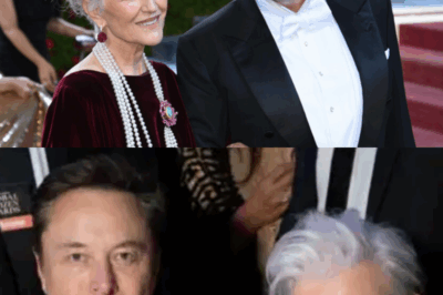 ÚLTIMA HORA: MAYE MUSK SE DESMAYA Y ES TRASLADADA A LA UCI…