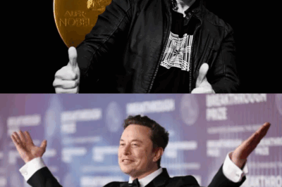 Elon Musk and his fans are calling for him to win the Nobel Peace Prize. But on the other hand, things are much more tense.