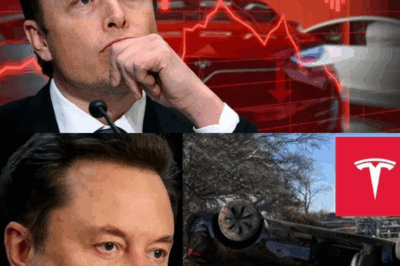 “Robots Will BANKRUPT Elon Musk’s Tesla”