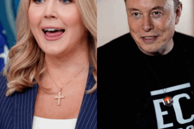 IMPACTANTE TV EN VIVO: Karoline Leavitt llama a Elon Musk un “multimillonario alborotador” — Su respuesta de 7 palabras congeló el estudio…