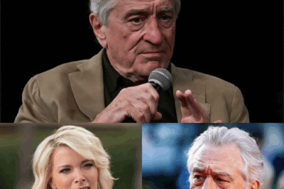 Robert De Niro Silences Megyn Kelly With Eight Words That Shook Live TV