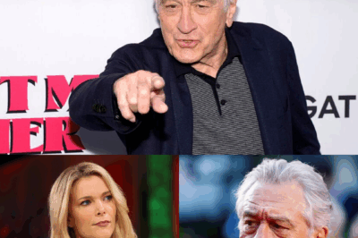 Robert De Niro Silences Megyn Kelly With Eight Words That Shook Live TV