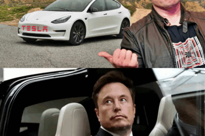 EL FUTURO DE TESLA DEPENDE DEL PRÓXIMO MOVIMIENTO DE ELON MUSK: Una sombría actualización genera especulaciones sobre la dirección de Tesla. ¿Qué sigue para el gigante de los vehículos eléctricos?