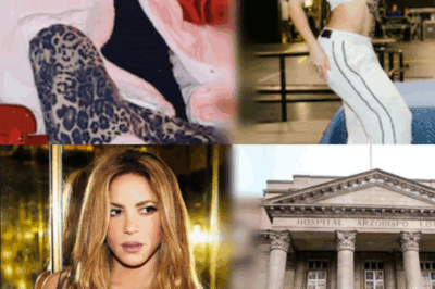 TERRIBLE: Alguien irrumpió en el hotel de Shakira a altas horas de la noche y la llevó al hospital. La habitación quedó completamente revuelta, con fragmentos y objetos esparcidos por el suelo. Al intentar defenderse, ella resultó herida, pero por suerte su mánager llegó a tiempo para llevarla de inmediato al hospital. Esa misma noche el culpable fue arrestado, y lo más aterrador fueron las palabras que le dirigió a Shakira: solo 7 palabras bastaron para que todos los presentes quedaran paralizados de miedo y profundamente preocupados por ella.