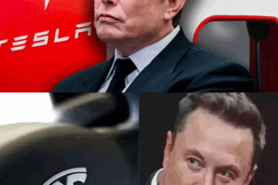 Tesla acaba de lanzar un enorme producto nuevo