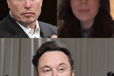 Elon Musk desata una polémica mediática tras cancelar el pago multimillonario a “Baby Mama” por una violación de confidencialidad. Los fans se quedan atónitos ante la pregunta de los expertos: ¿Qué secreto fue tan explosivo que le costó todo? | KF