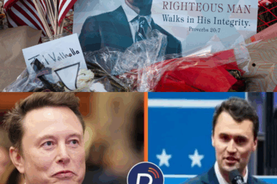 ÚLTIMA HORA: Elon Musk promete un millón de dólares para 300 murales de Charlie Kirk en todo Estados Unidos: un legado pintado en cada ciudad.