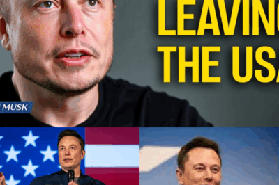 Elon Musk Reveals Why He Decided to Leave America