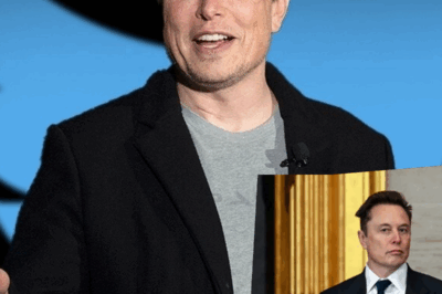 Elon Musk Says Government Is ‘Basically Unfixable’, Gets Briefly Ousted As Richest Man