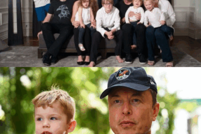 ¿Premio Nobel a la paternidad? Elon Musk, coronado como el “padre más productivo del mundo”; sus fans afirman que ganaría el premio al instante.