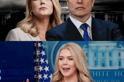 SORPRESA EN ESTUDIO DE TELEVISIÓN: Karoline Leavitt etiqueta a Elon Musk como un “multimillonario alborotador” – ¡Su rápida respuesta de 7 palabras deja a todos sin palabras!