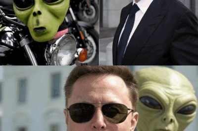 AFIRMACIÓN IMPACTANTE: Elon Musk supuestamente ha estado en contacto SECRETO con extraterrestres desde 2018, y ahora los ingenieros de SpaceX están revelando detalles escalofriantes que dejaron atónitos incluso a los veteranos de la industria.