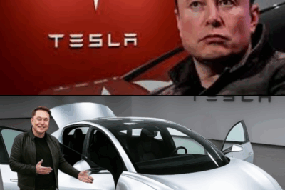 ¡Sucedió! Elon Musk finalmente anuncia el Tesla Model 2 2025 con todos los detalles revelados.MD