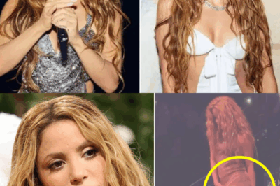 ASQUEROSO: “Esos desgraciados grabaron por debajo de mi falda” Shakira, indignada, declaró que llevará hasta el final la demanda contra los hombres que la acosaron sexualmente. Ellos, en un acto repugnante, grabaron y vendieron el video en páginas web clandestinas, y además robaron pertenencias personales de Shakira para subastarlas. Una banda miserable que no muestra temor alguno pese a haber recibido la denuncia, y cuya siguiente acción dejó a todos sin poder creer lo que veían.
