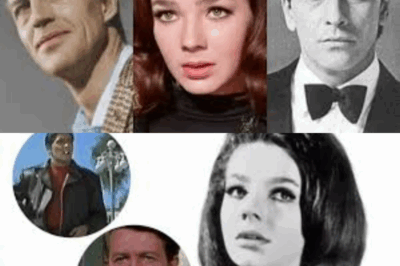 😱 Tras la muerte de Alicia Bonet, la policía registra su casa y encuentra objetos inesperados que sorprenden a todos —los vínculos con Juan Ferrara dejan al público perplejo y reavivan uno de los capítulos más enigmáticos del espectáculo mexicano 😱