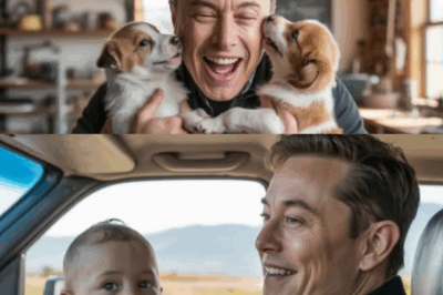 Leaving behind the dream of conquering Mars, Elon Musk unexpectedly shed tears as he tightly hugged his son X and the little dog.