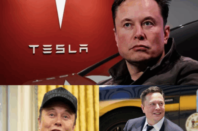 De la “quiebra para el verano” al dominio de mil millones de dólares: la guerra que duró toda la noche de Elon Musk dentro de la fábrica de Tesla se convirtió en el momento en que el mundo del automóvil cambió para siempre.