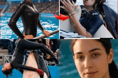 The TERRIFYING Last Moments of Orca Trainer Elena Vance