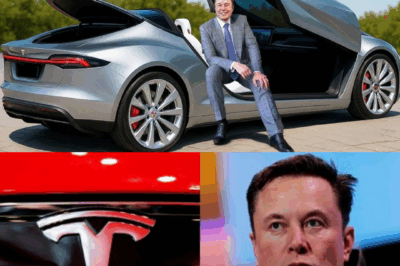 Elon Musk’s MASSIVE Tesla Update (It’s Really Big)